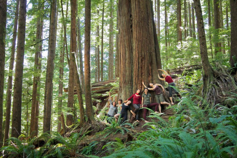 cast + crew at Avatar Grove